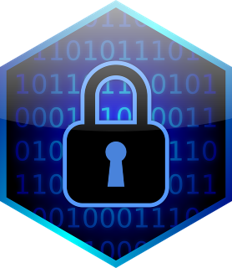 Defensible data privacy